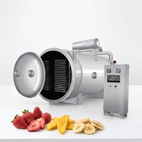 Industriële vriesdrooginstallatie voor fruit, groenten, vlees, vis en dierenvoer - professionele vacuümdroogmachine