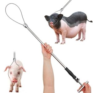 Attrape-chien robuste de haute qualité Long avec poignée Durable en acier inoxydable support de porc attrape équipement de ferme de porc par outil de bétail - Product Image 6