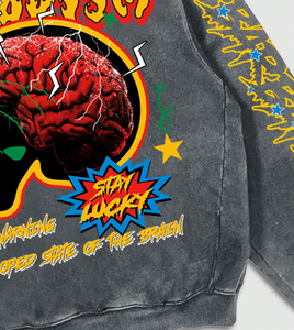 Streetwear personnalisé fabricant de vêtements recadrée Vintage en détresse pierre acide lavé graphique Dtg impression goutte épaule à capuche - Product Image 5