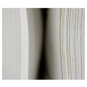 เยื่อไม้เนื้อแข็งฟอกขาวความสว่างสูงสำหรับโรงงานกระดาษ จัดหาจำนวนมากเพื่อการส่งออก - Product Image 4