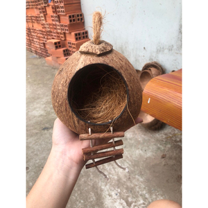 Casa de pájaros de cáscara de coco elegante y duradera hecha a mano de madera de Vietnam - Product Image 6