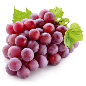 องุ่นไร้เมล็ดสด คุณภาพสูง เกรดพรีเมียม องุ่นเขียวทรงรี บรรจุกล่อง 50 กก. รสหวานอร่อย ราคาดี - Product Image 6