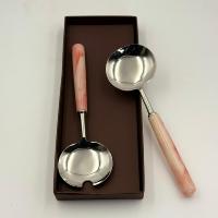 Ensemble de couverts en métal au design unique, lot de 2 avec manche en résine, pour la cuisine à domicile, ensemble de cuillères, fournisseur en gros à bas prix