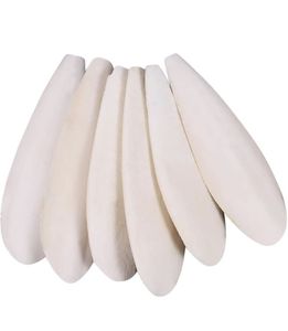 VIETNAMESE <b>CUTTLEFISH</b> BONE - IDEAL FOR PETS, BIRDS AND ANIMAL FEED - Product Image 2