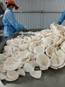 Carne de coco congelada, coco de Vietnam rallado, fruta tropical Premium utilizada para batidos, mezclas de panadería, aplicaciones de postres congelados - Product Image 4