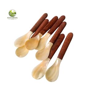 Natural Mother of Pearl <b>Spoon</b> Handmade Seashell <b>Spoon</b> with Resin Handle Luxury Caviar Dessert <b>Coffee</b> <b>Spoon</b> OEM ODM Custom Logo - Product Image 5
