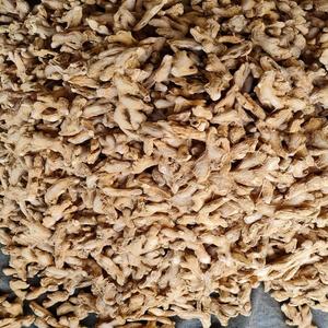 Racine de gingembre biologique de qualité supérieure gingembre frais séché en stock acheter prix de gros qualité supérieure livraison rapide usine directe - Product Image 5