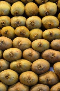 Kiwis doux de qualité supérieure, tranchés, surgelés (IQF), préservés à l'huile, en vrac, 10 kg - Product Image 4