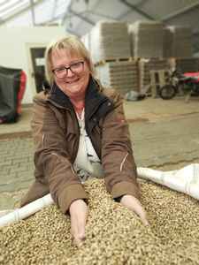 Granulés de bois en vrac Fabricants/Granulés de bois de qualité EN plus A1/ en plus a1 6mm-8mm à vendre Granulés de bois de biomasse - Product Image 2