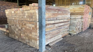 Exportación duradera, troncos de madera de teca de calidad, suministro de madera certificada - Product Image 4