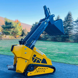 CARGADORA COMPACTA HUAYEE LHY680 MÁS VENDIDA - Product Image 1