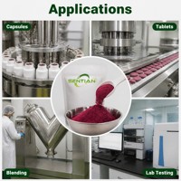 Poudre de jus de betterave (nitrate) Poudre de betterave rouge de qualité alimentaire Nitrate naturel Vente en gros en vrac Fournisseur d'usine