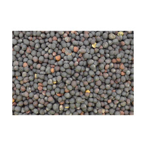 เรพซีดลดราคาจำนวนมากเหมาะสำหรับอุตสาหกรรมสกัดน้ำมัน - Product Image 2