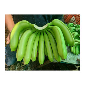 Wholesale Premium Cavendish <b>Fresh</b> Bananas Premium <b>Fresh</b> <b>Fruits</b> for Sale - Product Image 4