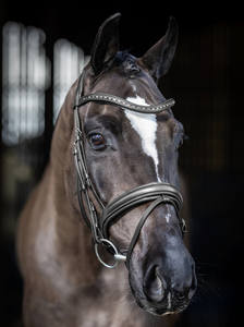 Bride de dressage Sports et divertissement Extérieur abordable Bride de course de chevaux de luxe - Product Image 6