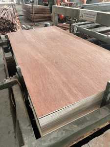 แผ่นไม้อัด4x8เชิงพาณิชย์ดีไซน์ทันสมัยความหนา18มม. ใช้ E0ฟอร์มาลดีไฮด์ - Product Image 3