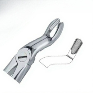 Pinces à extraire les dents dentaires Fig57 A Top Meilleure qualité Produits avec logo personnalisé Instruments dentaires en acier inoxydable de haute qualité - Product Image 6
