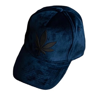 Gorra de Béisbol Personalizada de Alta Calidad para Hombre y Mujer, Gorra Trucker Ajustable con Bordado, Gorra Hip-hop, Gorra de Sol, Gorra Deportiva - Product Image 1