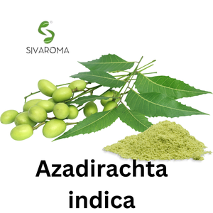 Affordable Prices 100% Pure Natural Neem Extract for Multi Purpose Uses Manufacture in India Top Quality Herbal Extract at Bulk - Product Image 3