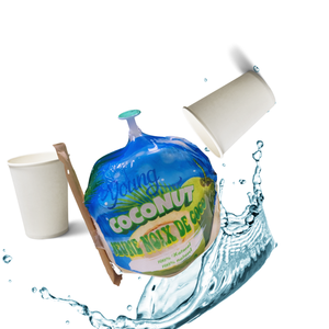 Produit de l'agriculture vietnamienne à la noix de coco fraîche avec une touche de nature - Product Image 5