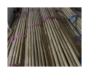 Fourniture en vrac de poteau de rotin disponible à partir de 99 données d'or-poteau de rotin de brillance et de ténacité naturelles pour l'exportation de production de meubles - Product Image 3