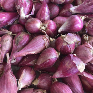 หอมแดงแช่แข็งของเวียดนาม | เทคโนโลยี iqf | บรรจุภัณฑ์จำนวนมาก - Product Image 1