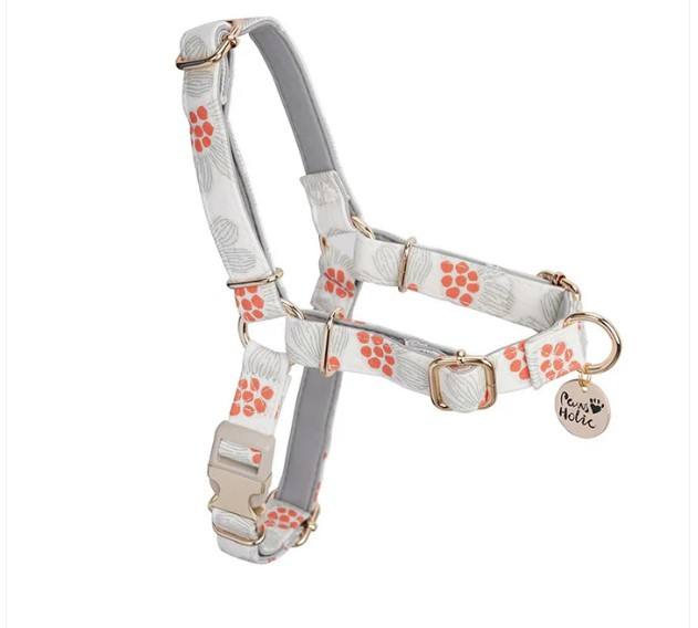 สีเทาอ่อน