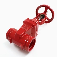 Équipement de lutte contre l'incendie de prix usine Type de rainure DN50-DN200 Vanne de porte de cale de tige montante