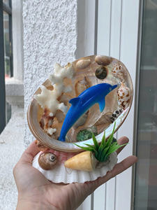 Concha Decorativa de Delfín, Artesanía de Concha Marina Pulida, Regalo - Product Image 4