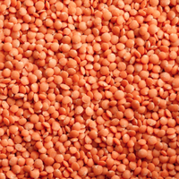 Lentilles rouges séchées, procédé AD, emballage en vrac, provenance Thaïlande Bangkok, 1 kg, durée de conservation de 2 ans
