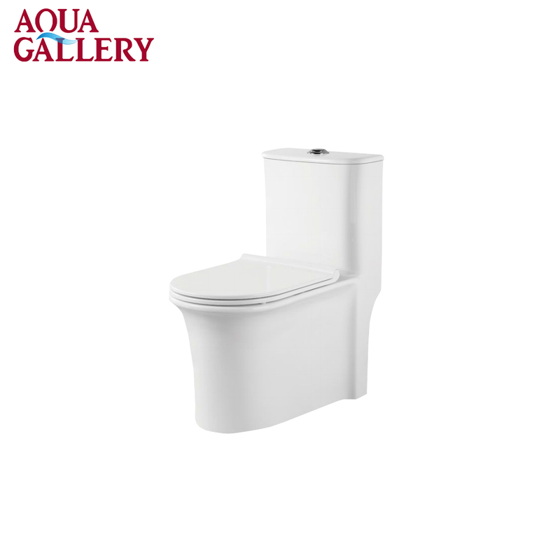 Modern White Color Water Closet WC