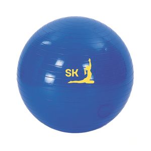 Pelota de Yoga de 45cm-75cm para Ejercicios de Estabilidad y Fitness, con PVC de Masaje Suave y Ecológico para Uso Universal - Product Image 1