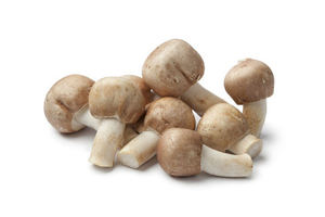Nature Restore Agaricus Blazei Murill Natural 20% 50% Polisacáridos Agaricus Blazei Muril Agaricus Blazei Extracto ÁNGULO - Product Image 4