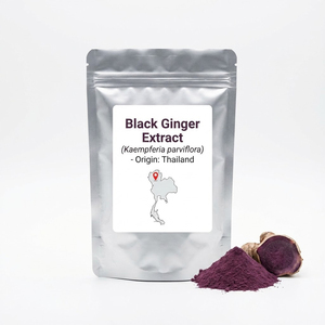 Estratto di Zenzero Nero ad Alta Concentrazione in Polvere Kaempferia Parviflora Integratore Naturale a Base di Erbe per Energia Resistenza Vitalità Maschile - Product Image 6