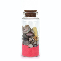 Produits de coquillages côtiers de collection, produits souvenirs les plus vendus, vente en gros de petits coquillages dans des bouteilles en verre