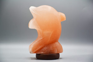 โคมไฟเกลือหิมาลายันสีชมพูแกะสลักงานฝีมือปลาโลมาขัดเงาโดยบริษัทอันวาร์ - Product Image 6