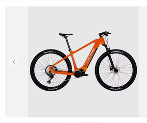 Vélo électrique tout-terrain en carbone dernier cri, moteur central Bafang M510 250W, 29 pouces, EMTB avec batterie intégrée pour hommes - Product Image 1