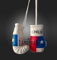 Guantes de Boxeo Mini Personalizados y Duraderos con Diseño de Bandera de País, Llavero Colgante para Auto de Cuero PU, LAST STAR INDUSTRY, Bosnia, Grecia