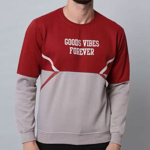 Offre Spéciale hommes pulls molletonnés personnalisés solide à capuche à manches longues basique 100% coton écologique impression personnalisée différente - Product Image 1