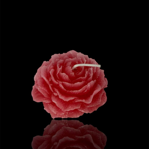 Bougie parfumée de marque privée Bougie parfumée OEM Fournisseur de bougies ODM Fabricant de bougies parfumées personnalisées en vrac - Product Image 1