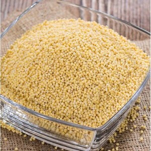 LITTLE <b>MILLET</b> NOODLES WITH TOP QUALITY BEST FOR BIRD FEEDING ENRICHED WITH HIGH PROTIEN PACKED AND PROCESSED FROM INDIA - Product Image 4