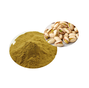 Polvo de Pistacho Popular de Color y Sabor Naturales - Proveniente de las Industrias Global de Confitería, Pastelería y Gelato - Product Image 2