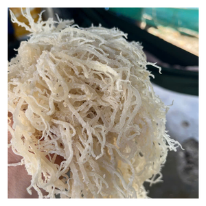 Desbloquee nuevas oportunidades de negocios con algas marinas de Vietnam, un producto de algas marinas buscado por los mercados globales - Product Image 3