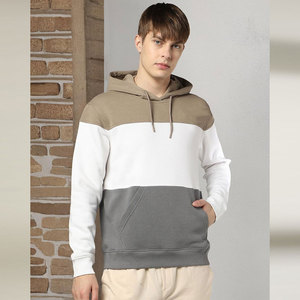 Sudaderas con capucha de peso pesado de alta calidad para hombre 100% algodón Premium antiarrugas secado rápido Panel de Color personalizado bordado Impresión de logotipo - Product Image 1