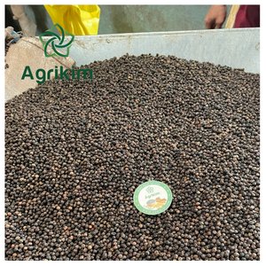 Pimienta Negra Seca Cruda Procesada AD al por Mayor de Vietnam en Forma Entera y en Polvo para Uso como Especia, Bolsa de 25 kg/pp - Product Image 1