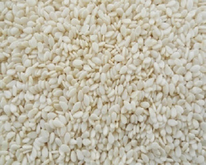 Semillas de Sésamo Negro Naturales Crudas, Blancas, Descascaradas, de Alta Calidad, con un 99.9% de Pureza y Alto Contenido de Aceite - Product Image 6