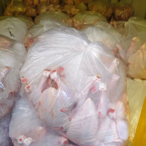 ไก่แช่แข็งทั้งตัว ฮาลาล แช่แข็งแบบ LQF บรรจุ 10 กก. บรรจุกล่อง - Product Image 1