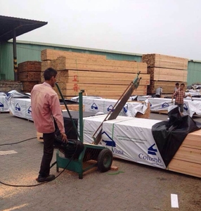 Xách Tay Sân Saw Crosscut Gói Cưa Cross-Cắt Đơn Vị Hệ Thống Với Kholer Khí - Product Image 4