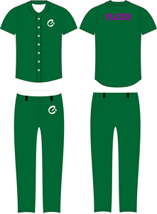 เสื้อเจอร์ซีย์เบสบอลปักลายปรับแต่งได้แบบเต็มตัวผ้าโพลีเอสเตอร์กันยูวีแห้งเร็วระบายอากาศได้ดี100% - Product Image 2