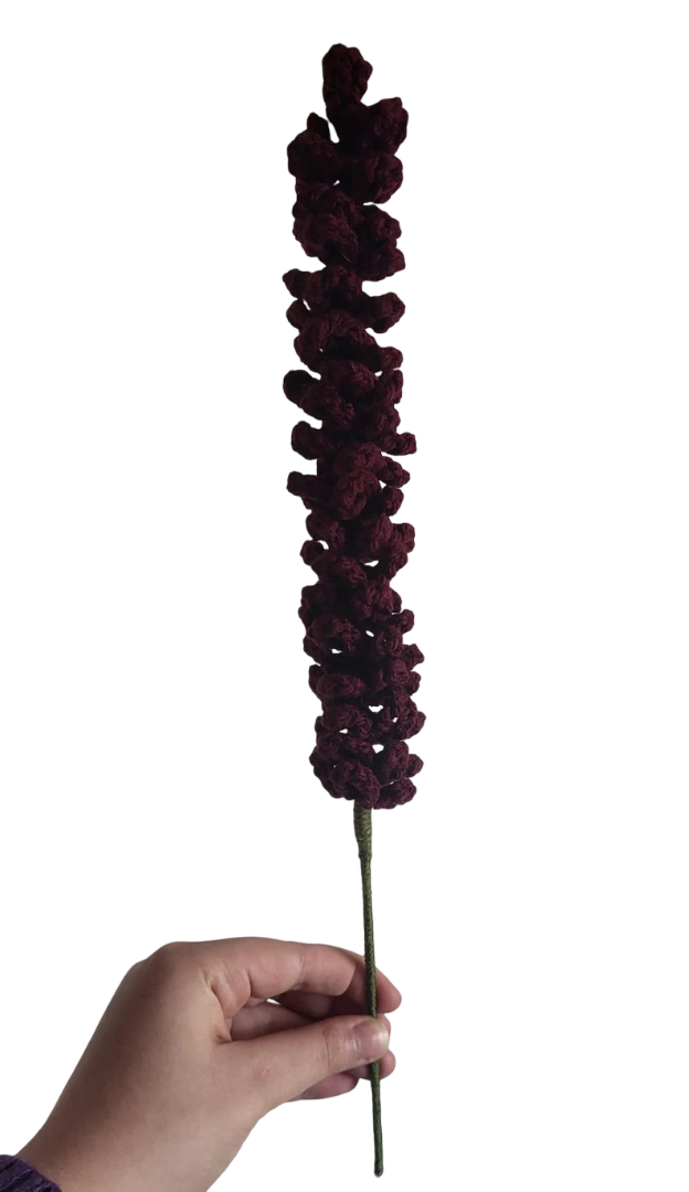 มณฑลเบอร์กันดี